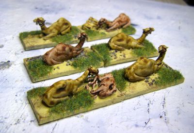 Tethered camel defences
