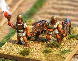 Flaming Pigs !
Photos kindly supplied by the manufacturer [url=http://www.baueda.com]Baueda[/url]. These figures are designed for incendiary pigs and handlers to be used as Reg Art(I) in DBM list 10 bookII, Camillan Roman 400BC - 275BC 
Keywords: hfoot MRR