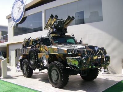 Ideal camouflage for hiding in a Gay Pride parade ?
Photos of AFVs at the IDEX 2013 exhibition 
