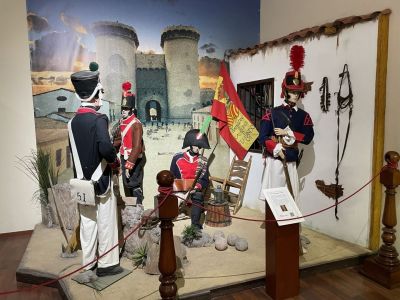 Napoleonic soldiery
